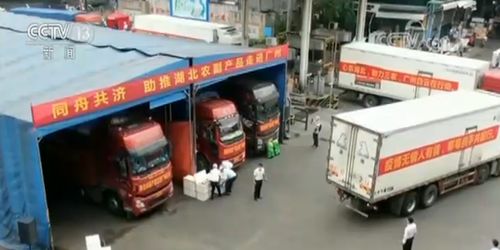 多措并舉拓銷路，湖北農副產品產銷兩旺譜新篇