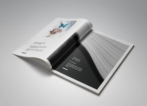 一希品牌設(shè)計 為卡梅隆藝術(shù)文化學(xué)校打造獨具匠心的畫冊與宣傳冊