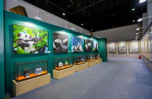 藝術聯結友誼，雙寶共慶甲子——慶祝中法建交60周年大熊貓金絲猴雙寶文化藝術展在京啟幕